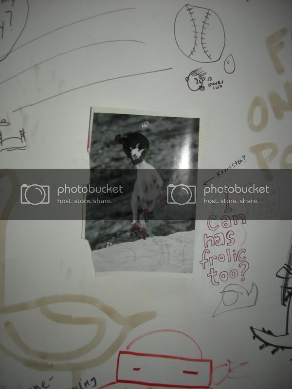 DSCN0300.jpg