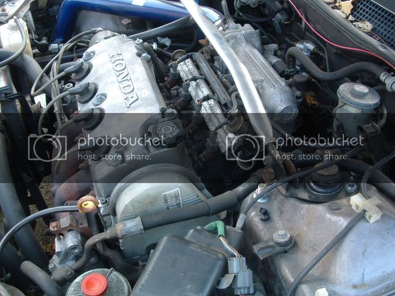 ProjectCivic004.jpg