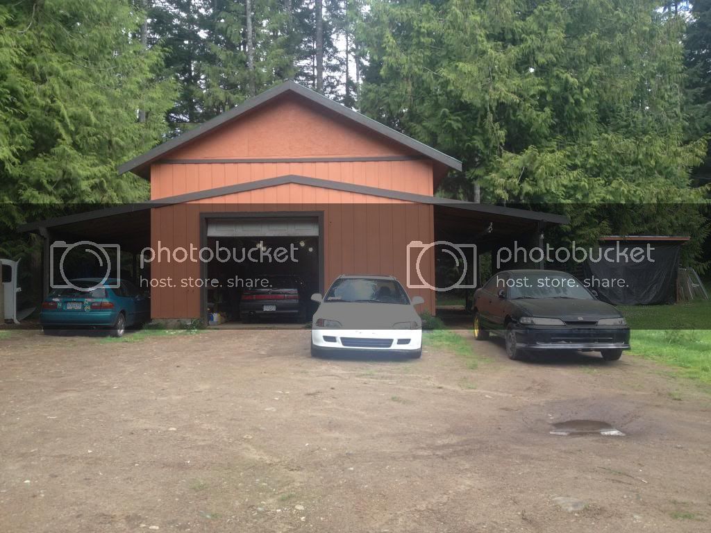 IMG_2513_zps05c3d008.jpg