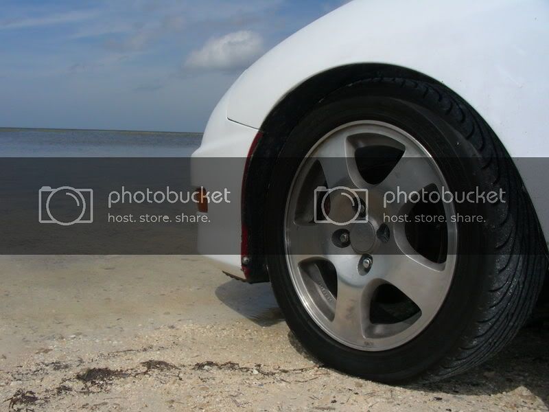 DSCN4511-1.jpg