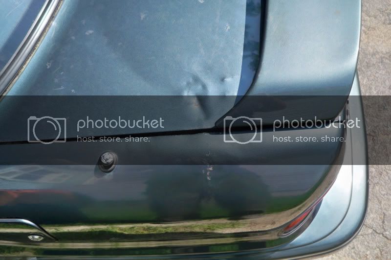 100_0556.jpg