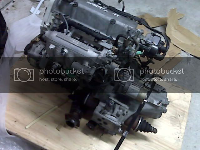 IMG00018.jpg
