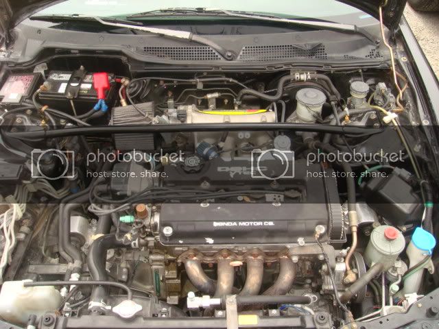 DSC01504.jpg