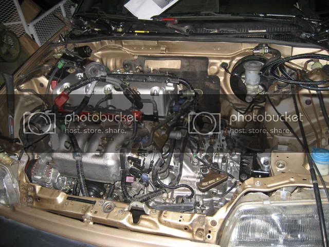 k20hatch062.jpg