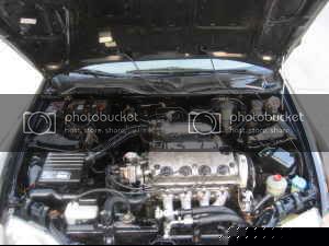 civic2.jpg