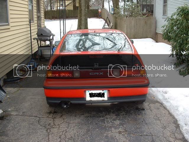 rear.jpg