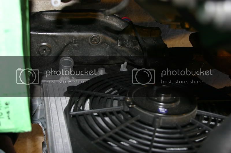 IMG_9968.jpg