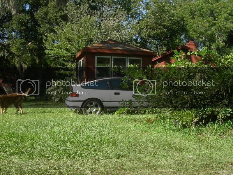 DSCN9256.jpg