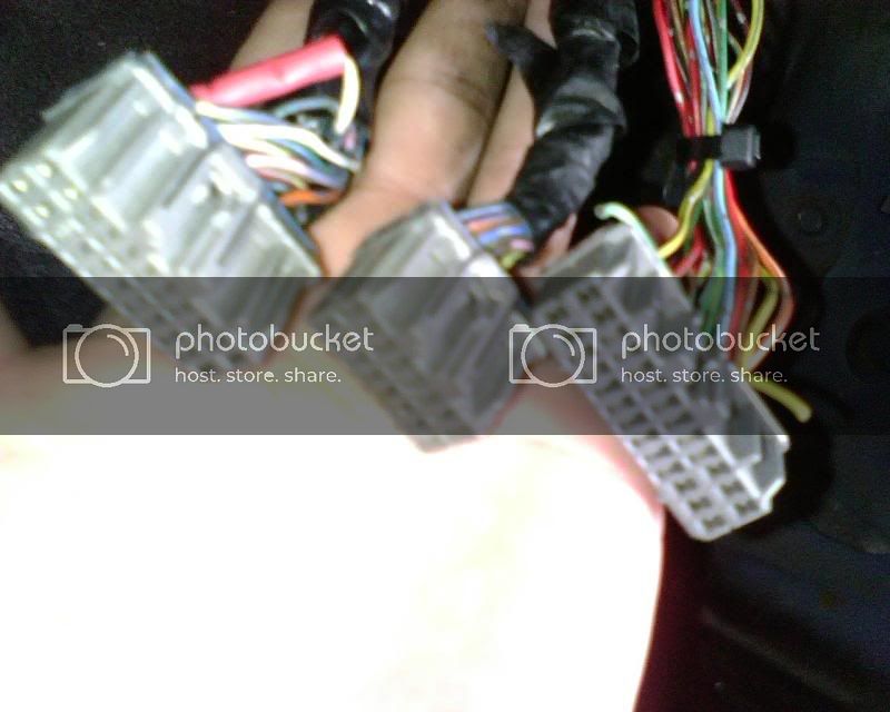 IMG00193.jpg