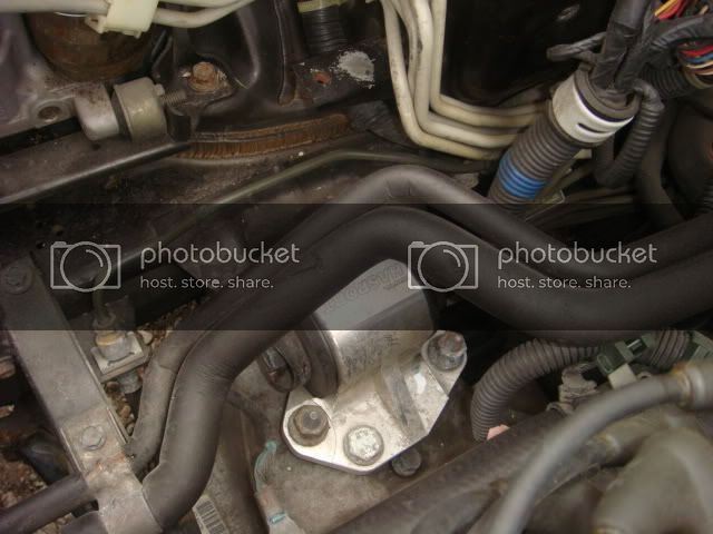 DSC01508.jpg