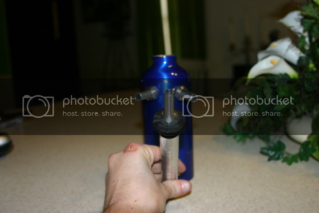 IMG_8379.jpg