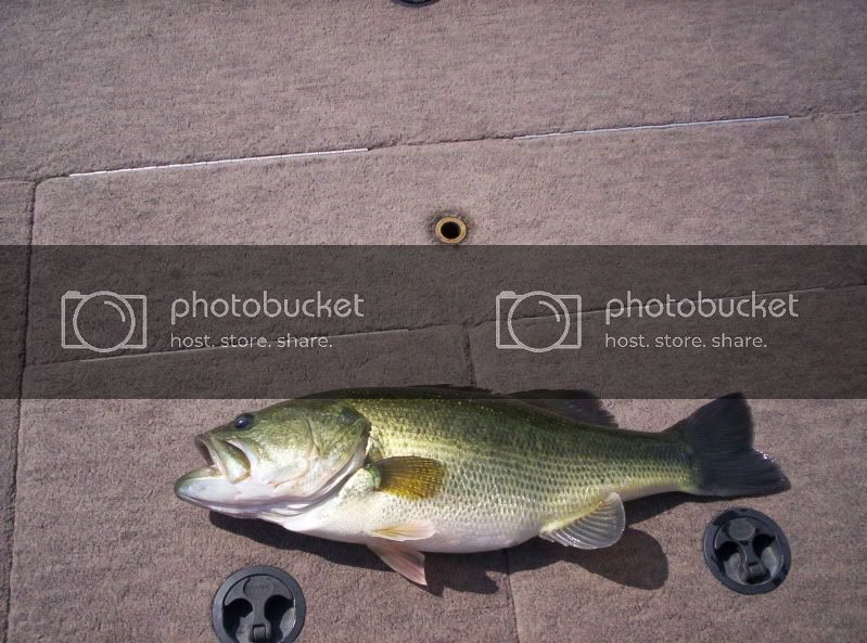 dadbass1.jpg