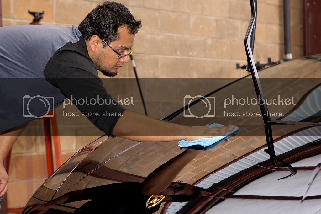 detailhood_zps139c8fcb.jpg