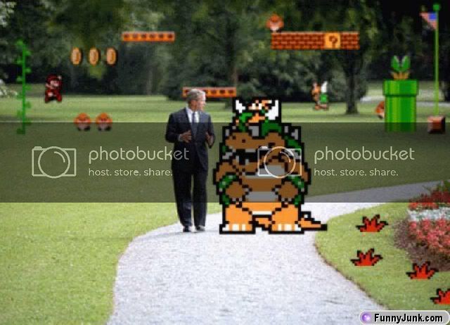 bushandbowser.jpg