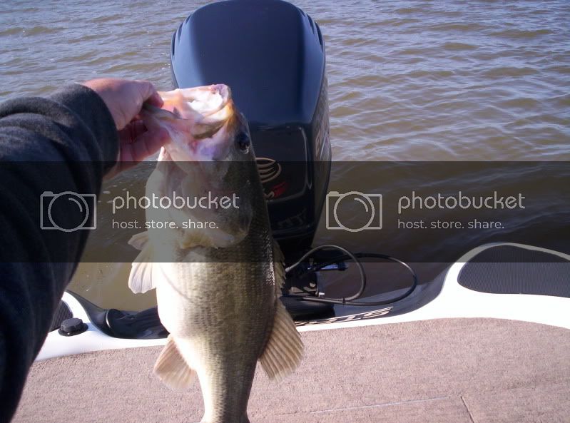 dadbass.jpg