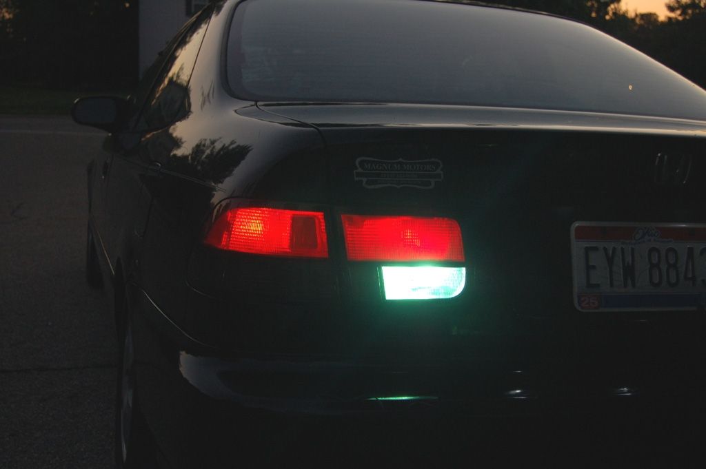 38328494062_large.jpg