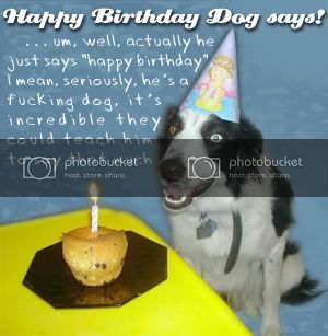 bdaydog.jpg