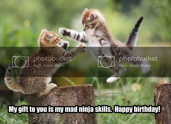 SillyKittyBirthday.jpg