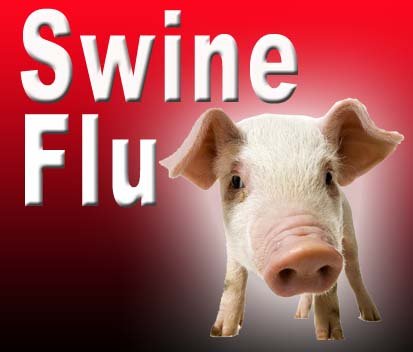 swine-flu.jpg