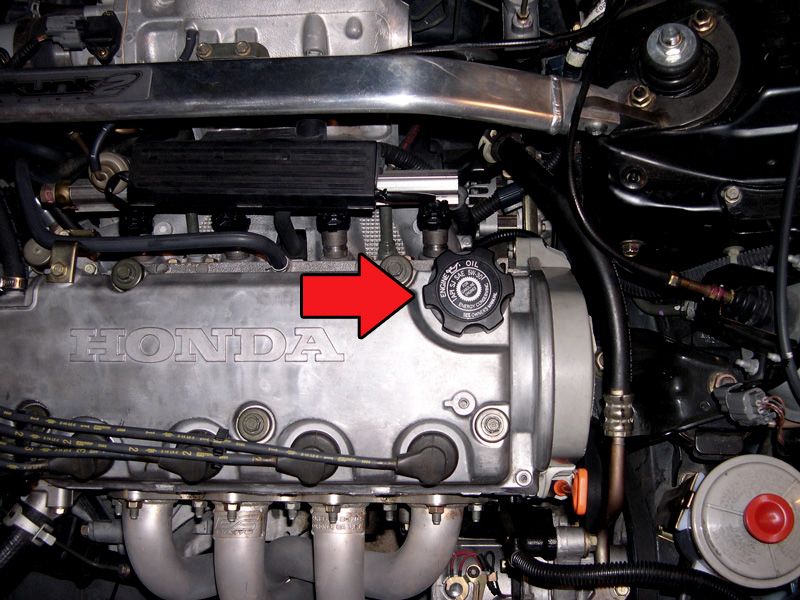 oil.change.015.jpg