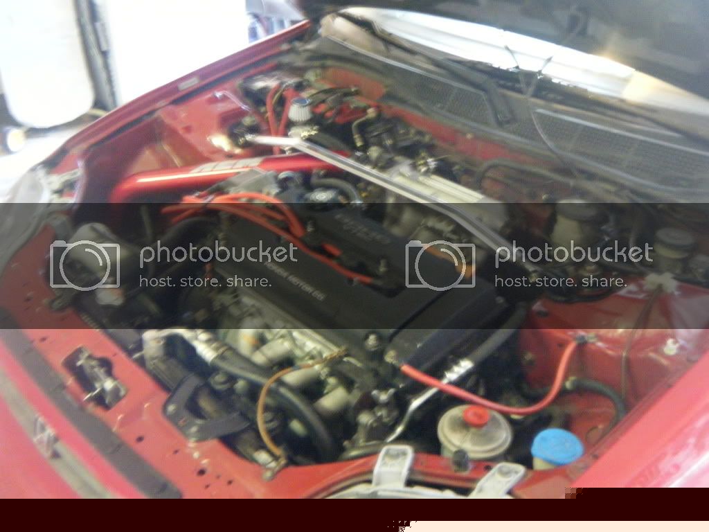 Vtec002.jpg