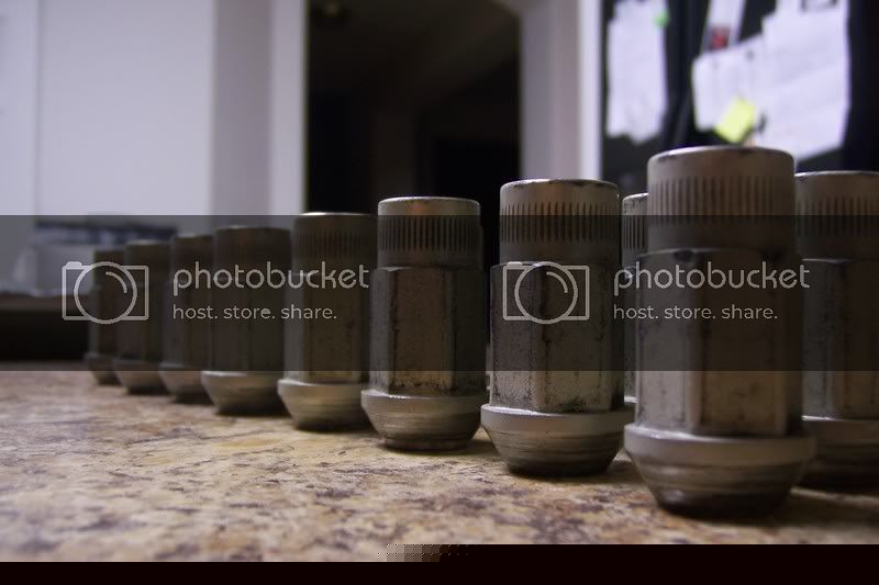 pixfromcamera393.jpg