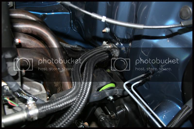 IMG_8083copy.jpg