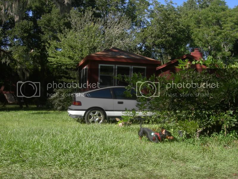 DSCN9257.jpg