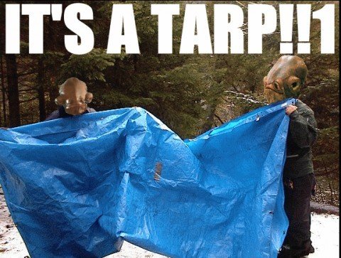 tarp.jpg