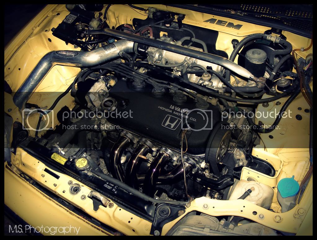 DSCF6261.jpg