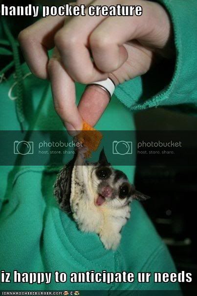 funny-pictures-handy-pocket-creatur.jpg