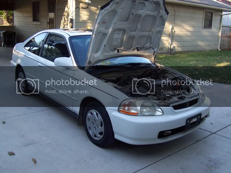 AllPictures134.jpg