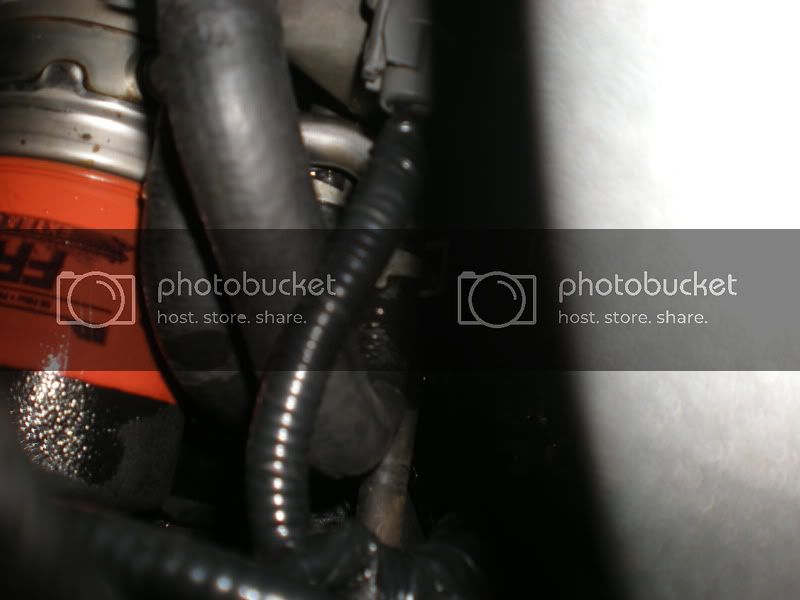 DSCN2103.jpg