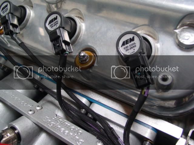 DSC01404.jpg