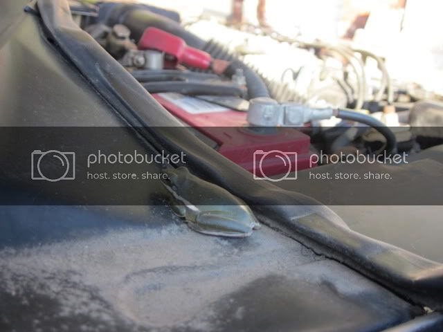 IMG_1132.jpg