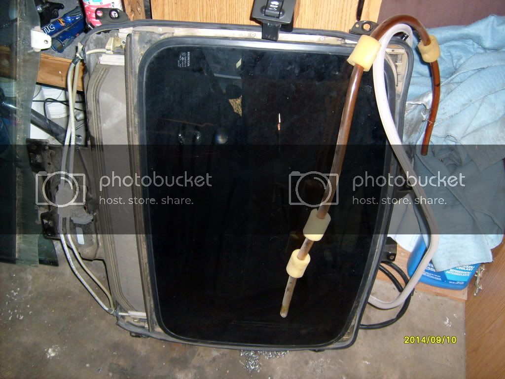 S6300277.jpg