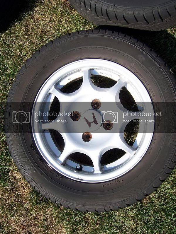 VX4.jpg