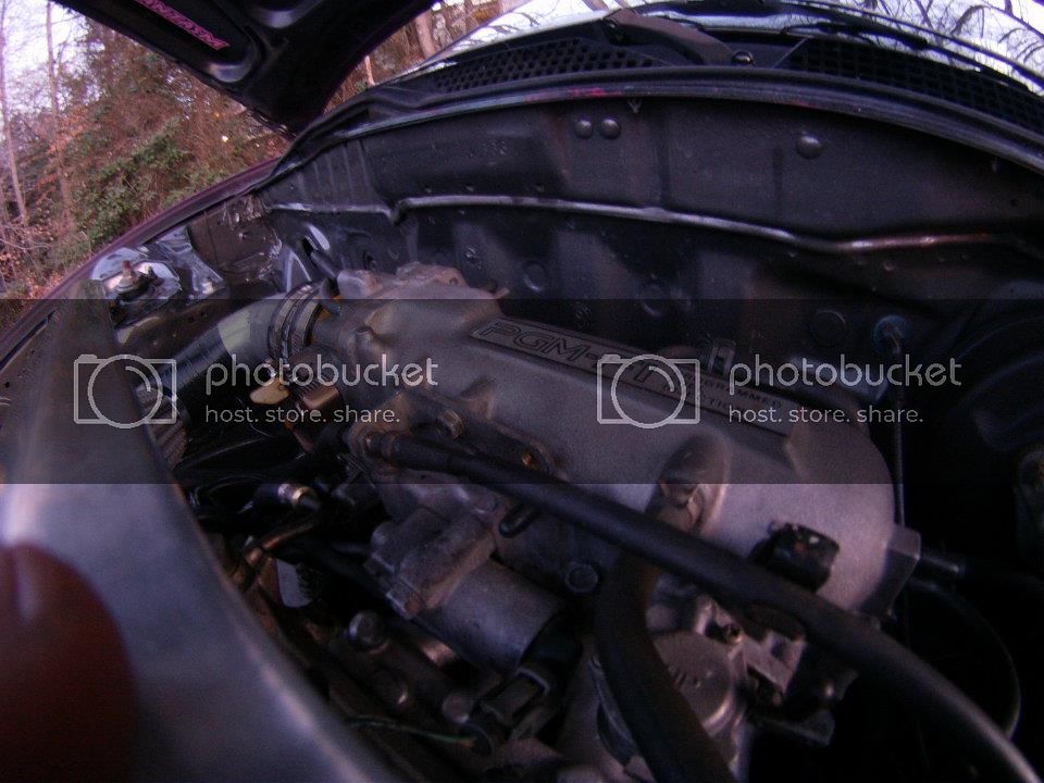 427226_302651659782796_100001138931005_776326_1259807896_n-1.jpg