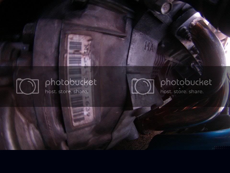 428216_302651713116124_100001138931005_776328_1660132156_n-1.jpg