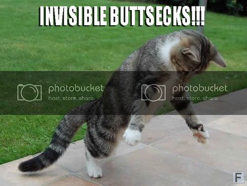 invisiblebuttsecks.jpg