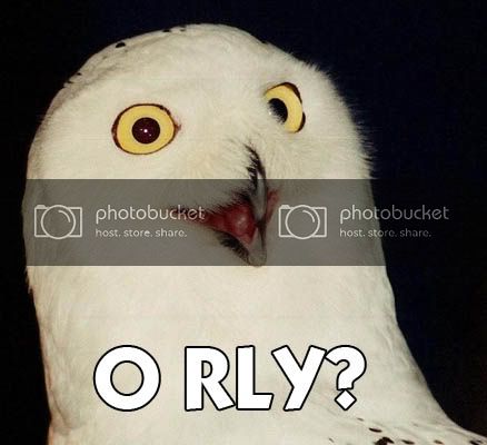 orly_owl.jpg