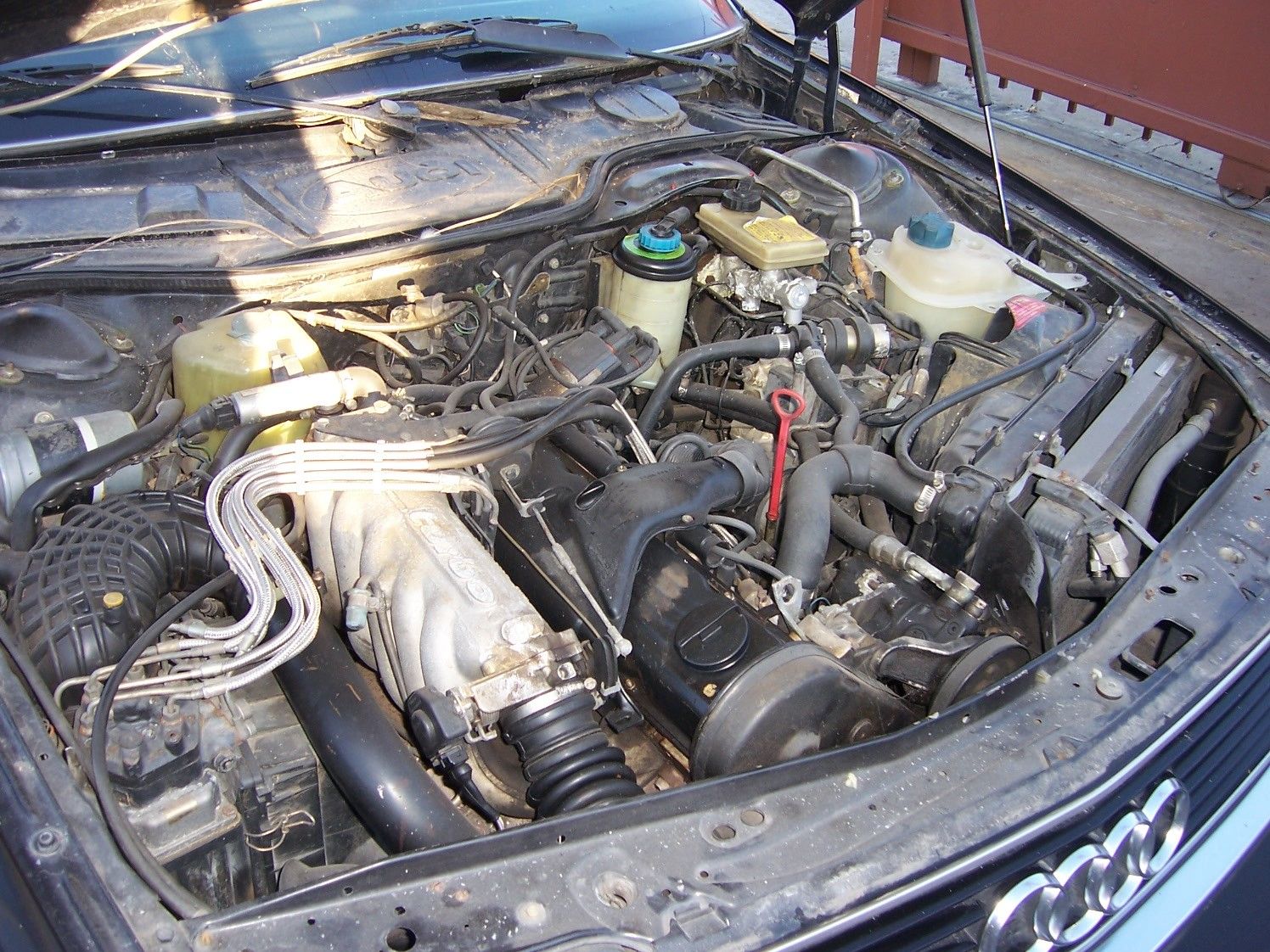 1987-audi-5000cs-quattro-engine.jpg